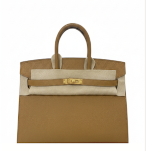 Hermès Birkin 25